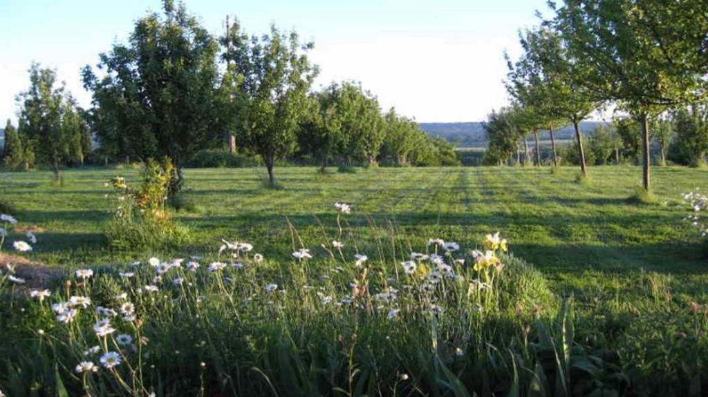 Le Mont D'Auge Canapville (Calvados) Exterior foto