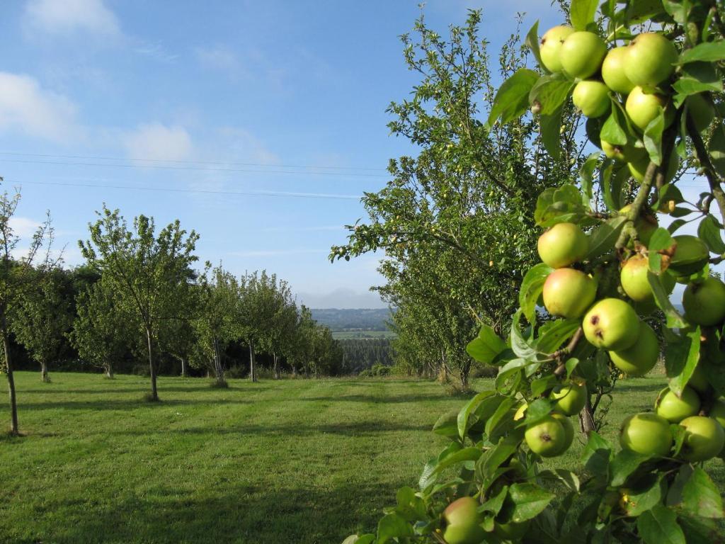 Le Mont D'Auge Canapville (Calvados) Exterior foto